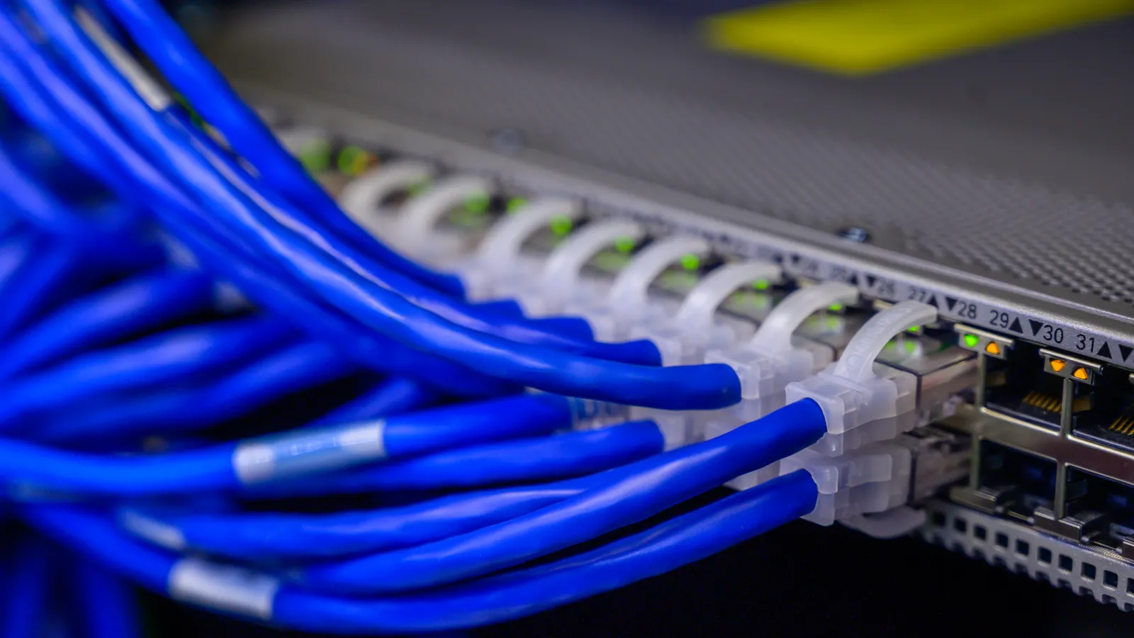 Cabos Ethernet azuis conectados a um switch de rede